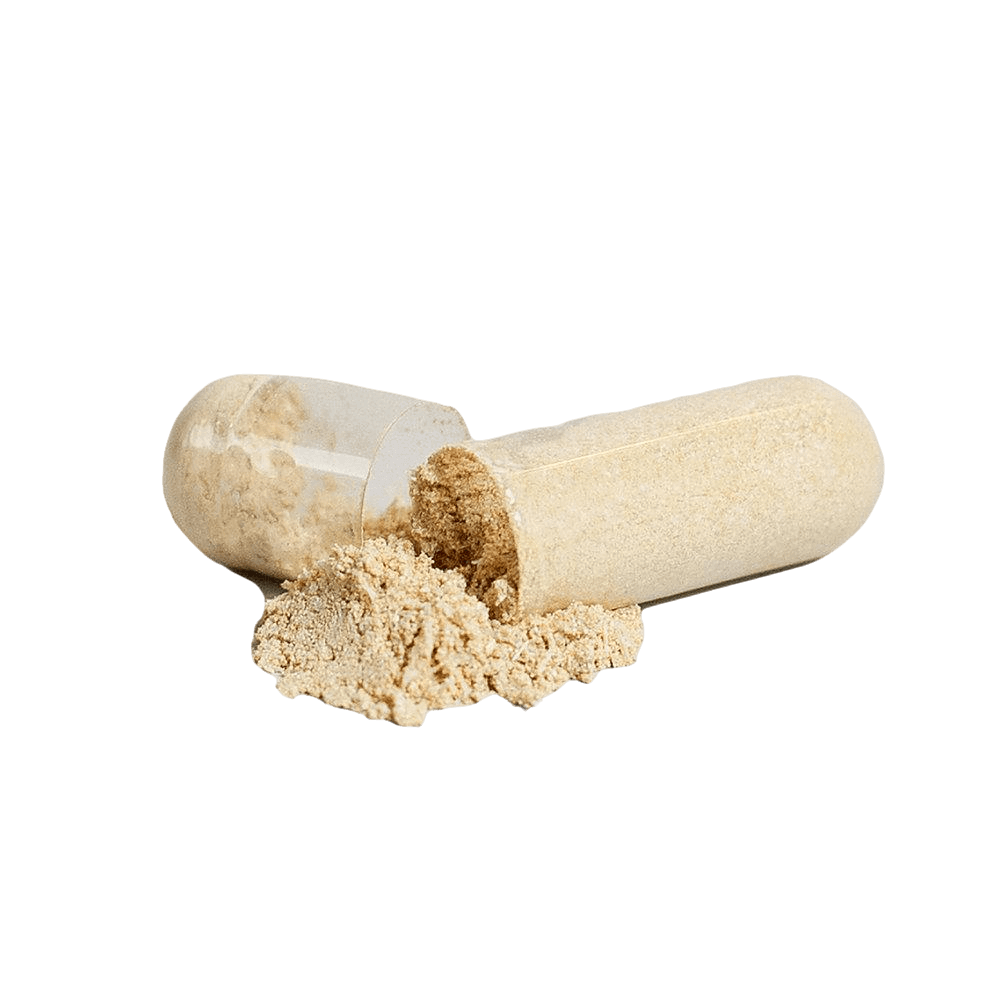 Ashwagandha natural extract