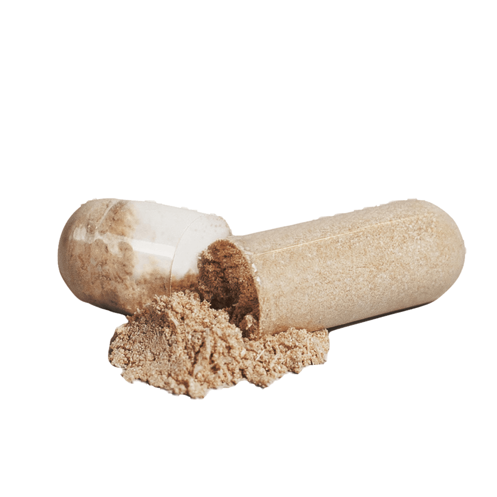 Maca Plus natural extract